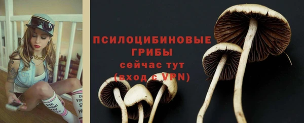 соль ск Михайловск