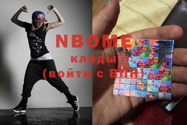 крисы Надым
