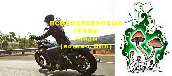 крисы Надым