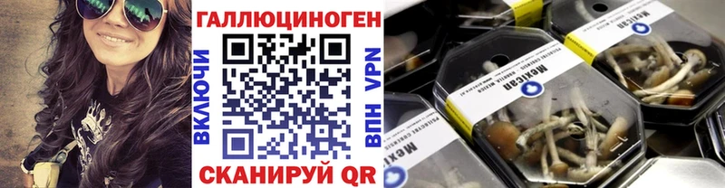 даркнет сайт  Чебоксары  маркетплейс как зайти  Псилоцибиновые грибы Cubensis 