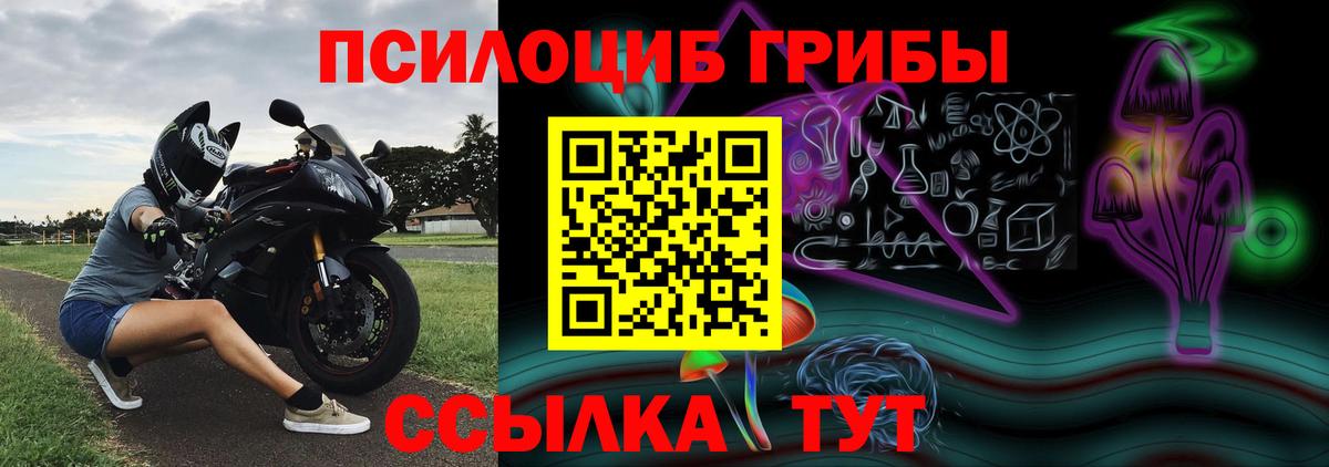 Чебоксары  Галлюциногенные грибы GOLDEN TEACHER  Вход с VPN 